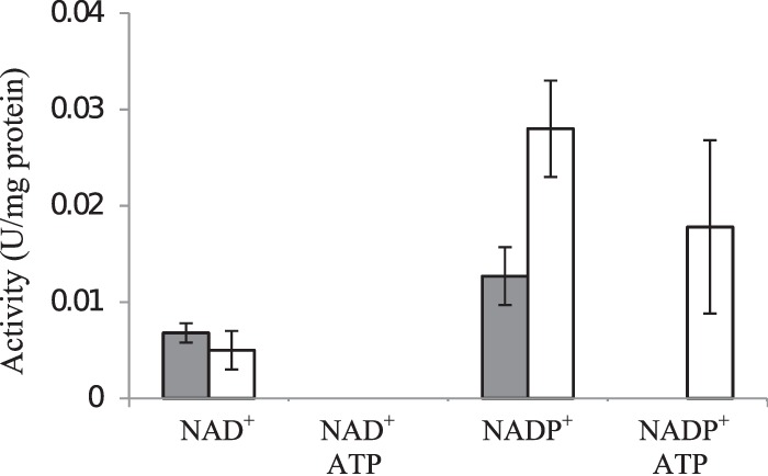 FIG 2