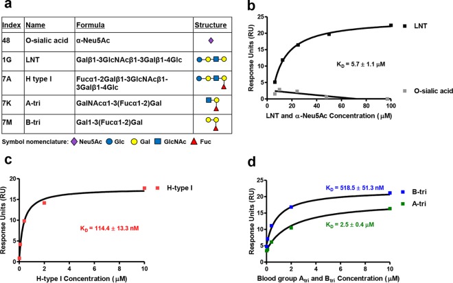 FIG 2 