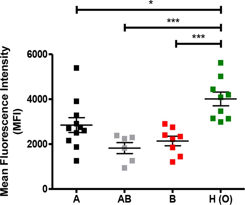 FIG 6 