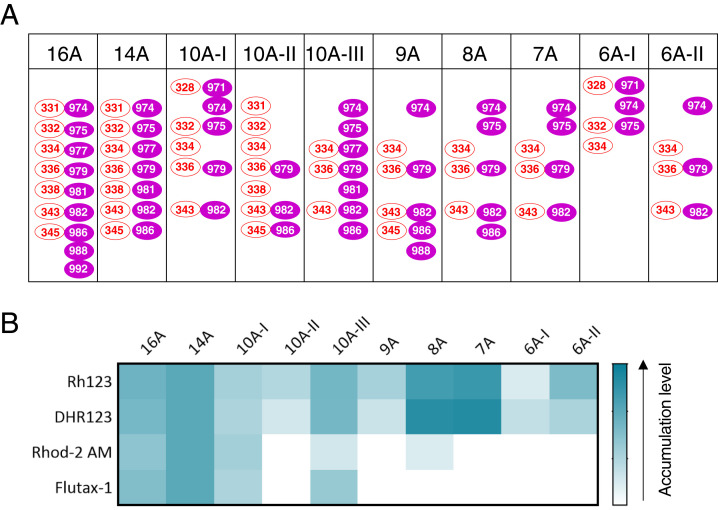 Fig. 3.