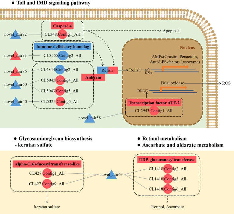 Figure 10