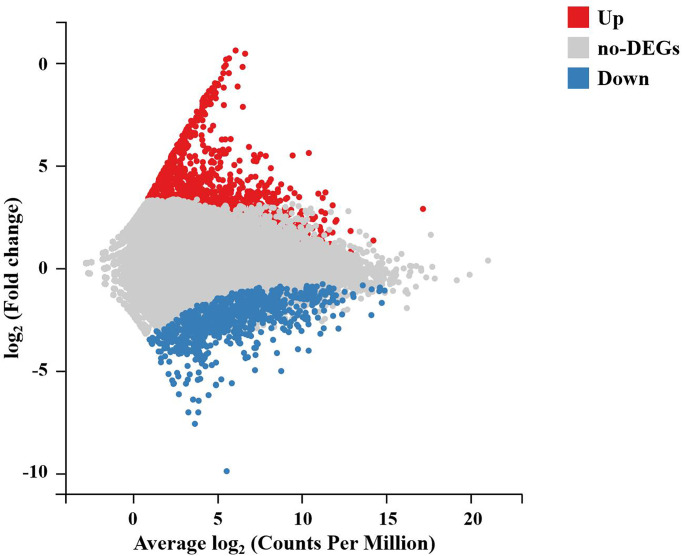 Figure 3