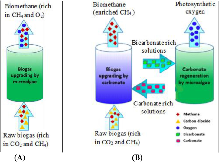 Figure 5