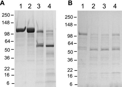 FIG. 5.