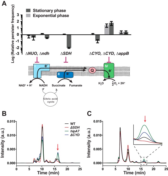 FIG 3