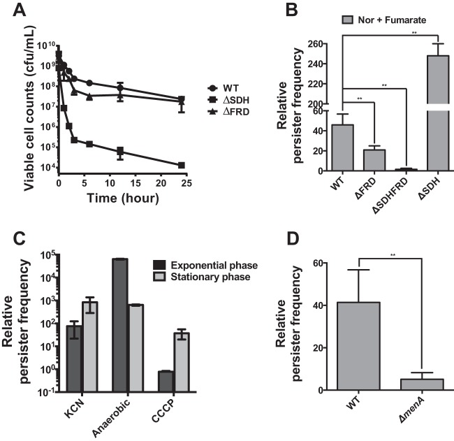 FIG 4