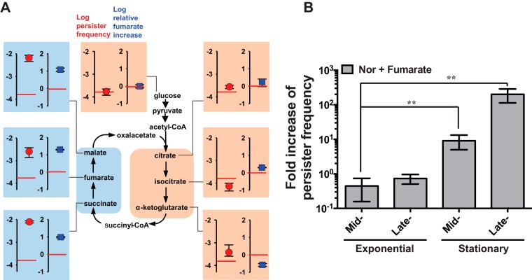 FIG 2