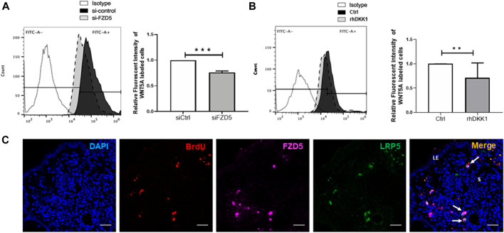 FIGURE 6