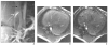 Fig. 8
