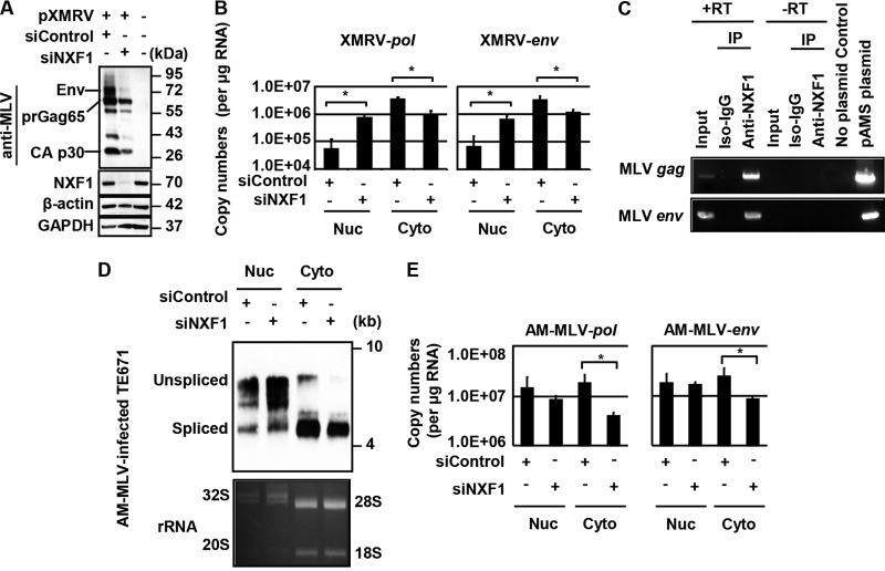 FIG 6