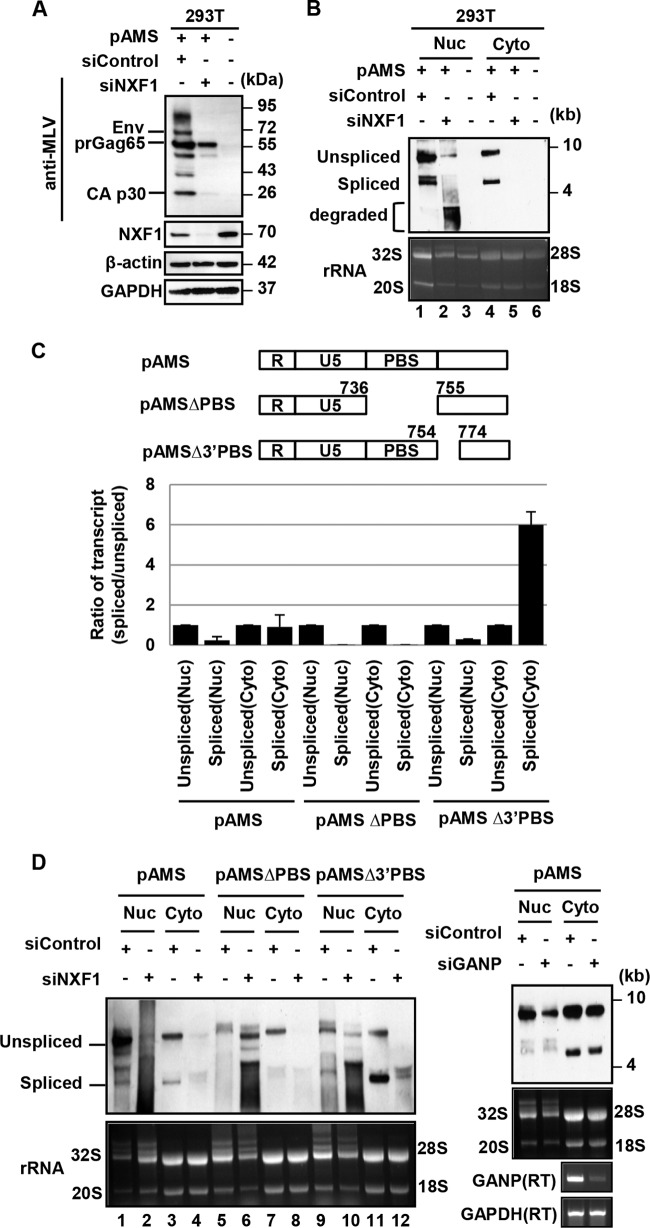 FIG 8