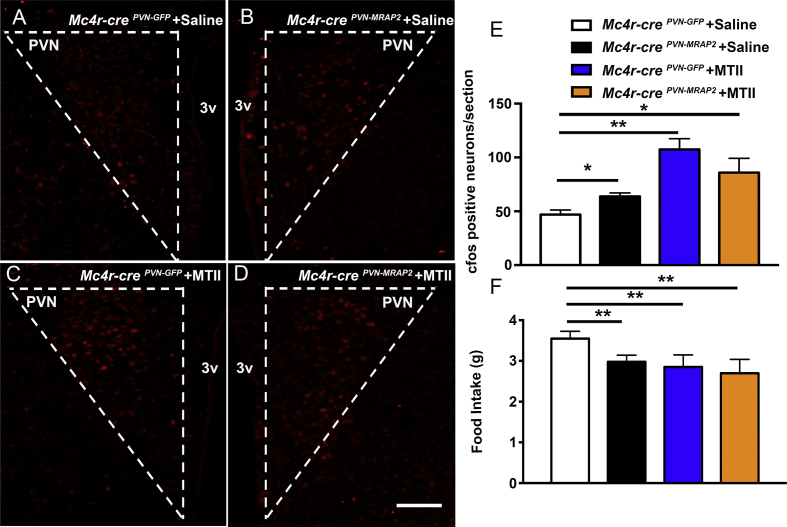 Figure 6