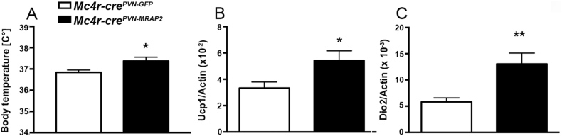 Figure 5