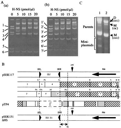 FIG. 3