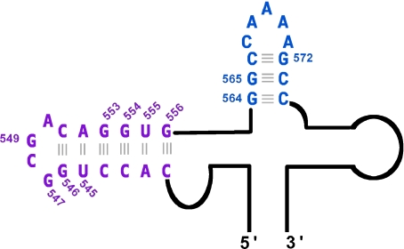 Fig. 1