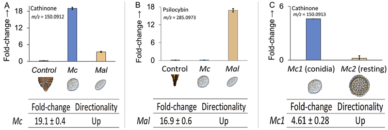 Fig. 3.