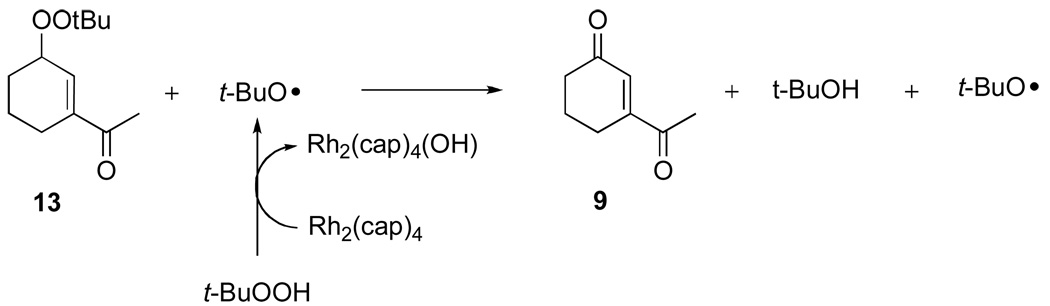 Scheme 4