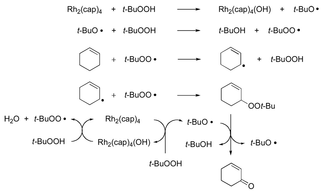 Scheme 5