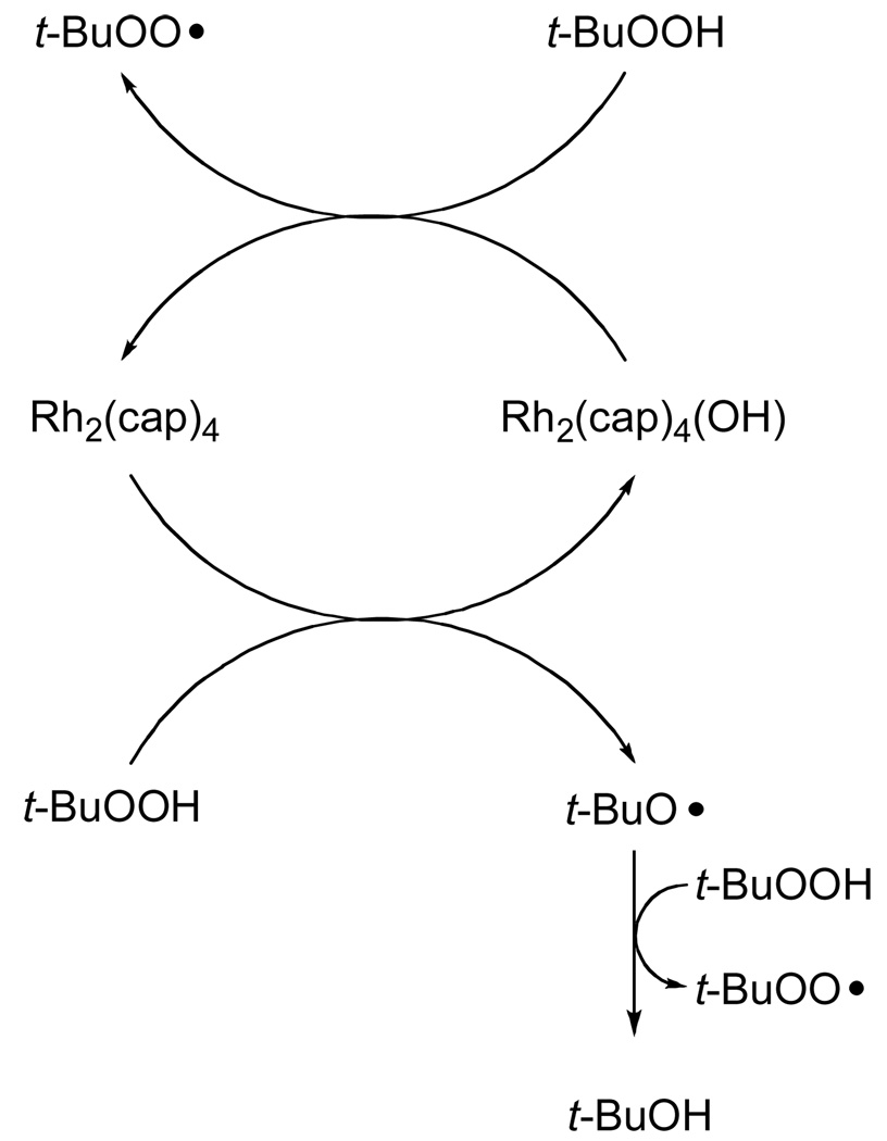 Scheme 2