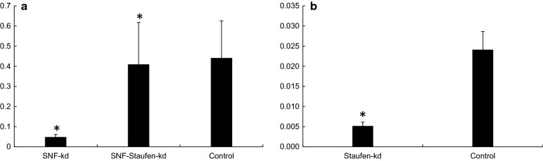 Fig. 13