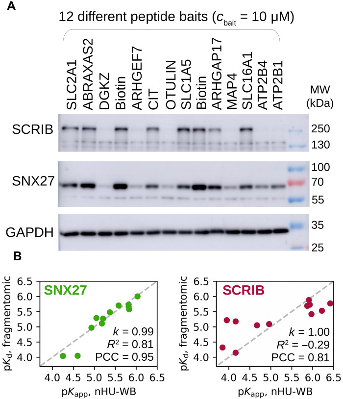 Fig. 2.