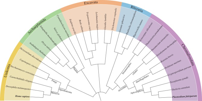 Figure 1.