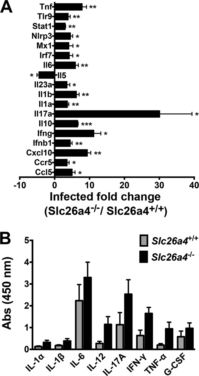 FIG 7