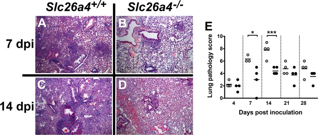 FIG 6