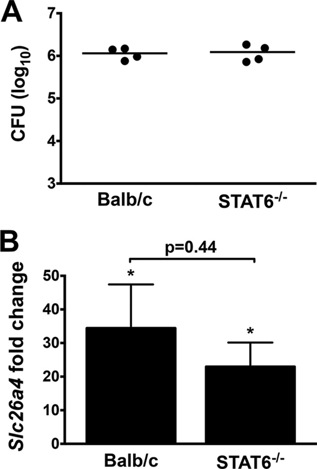 FIG 3