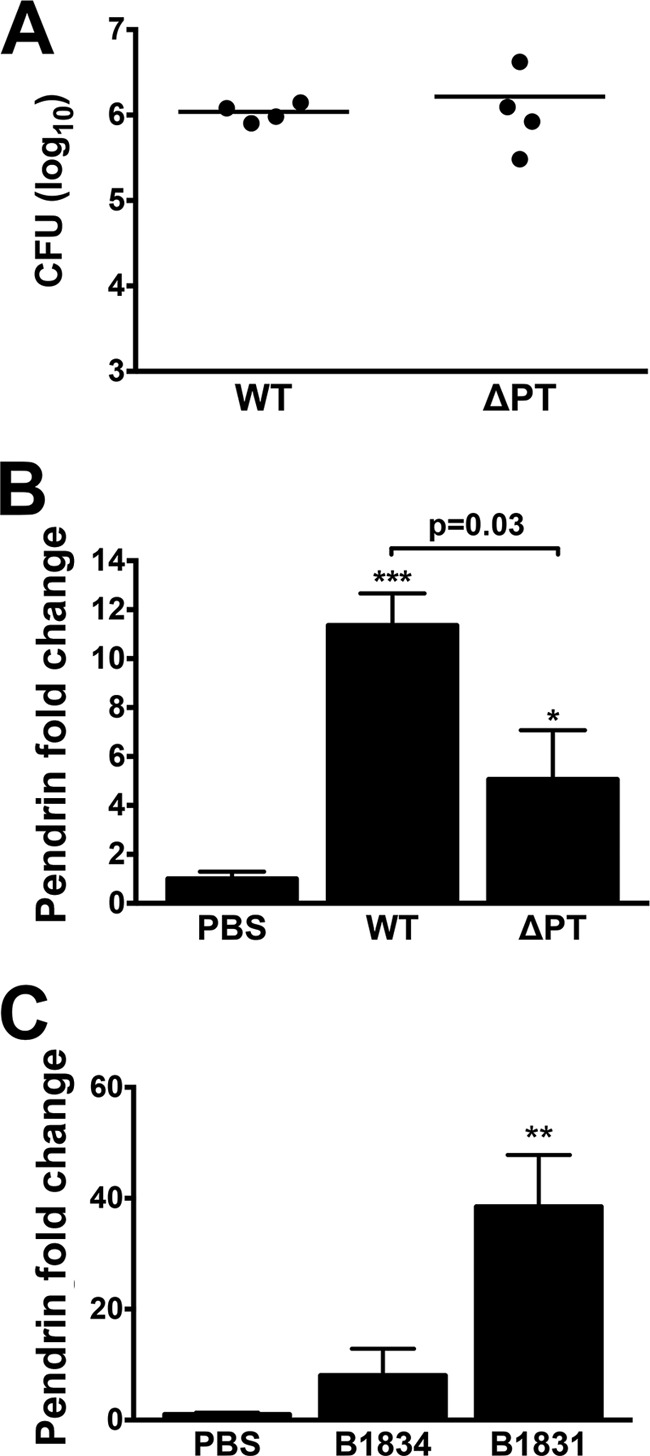 FIG 2