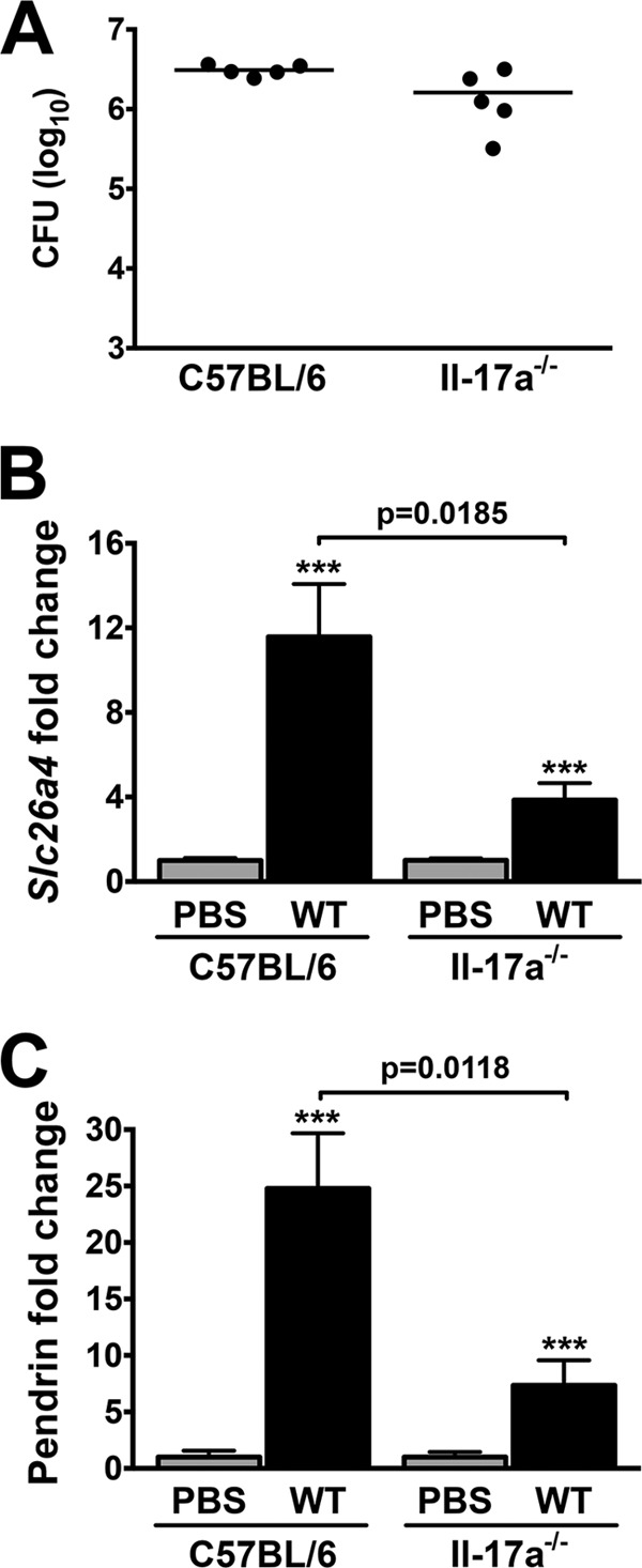 FIG 4