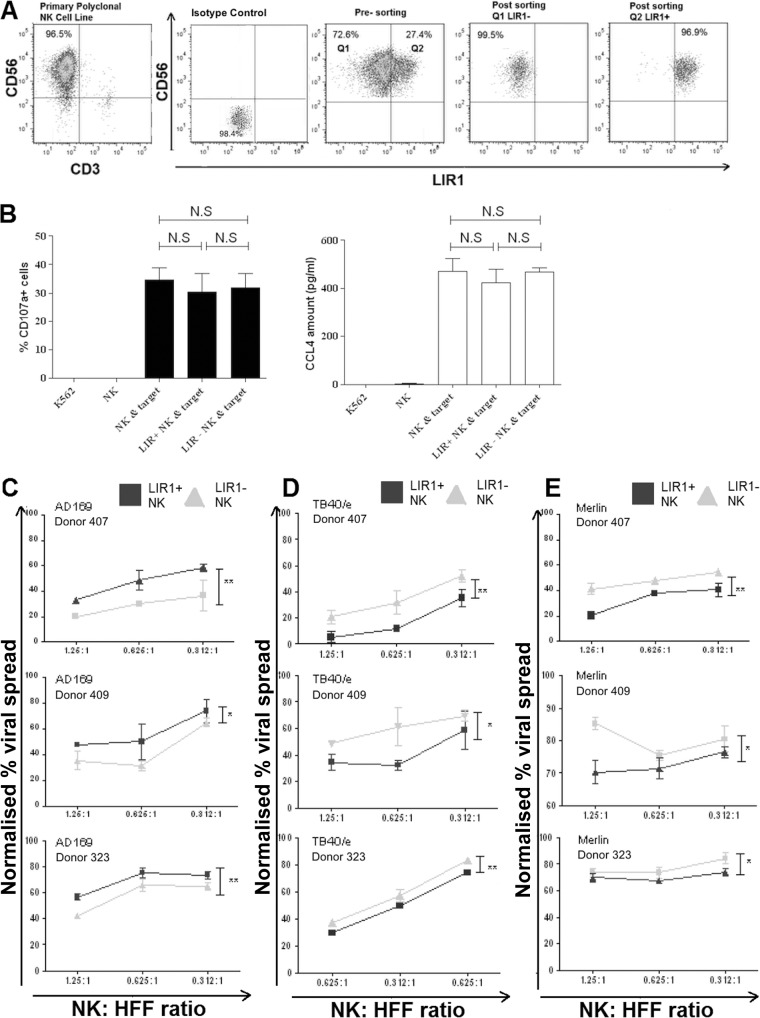 FIG 2