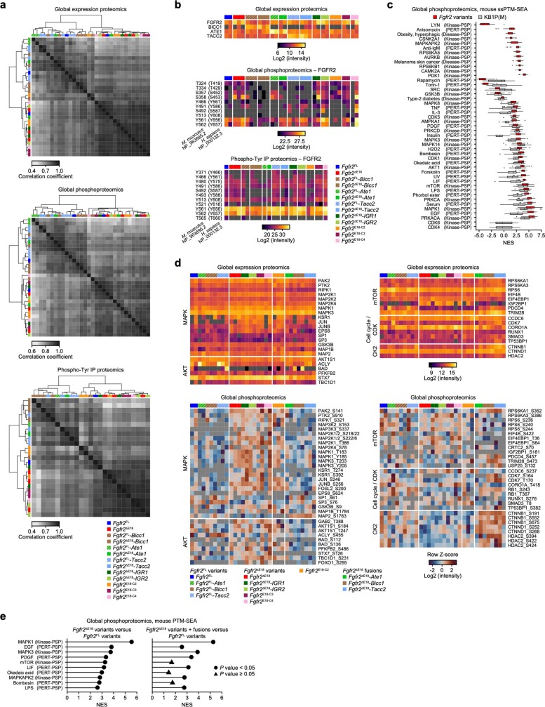 Extended Data Fig. 9