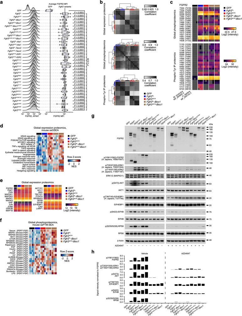 Extended Data Fig. 5