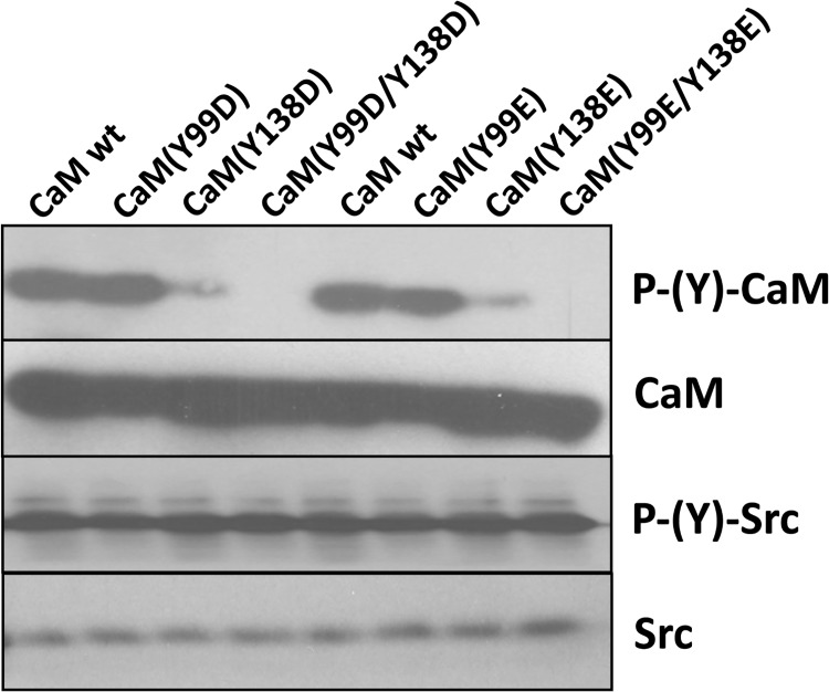 Fig 7