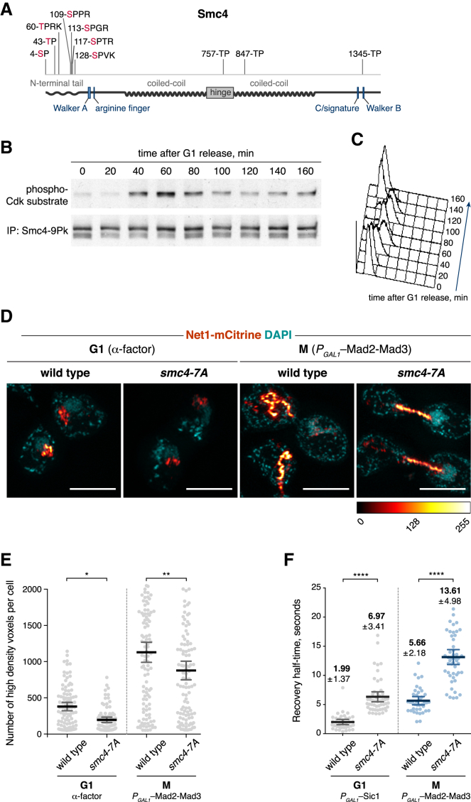 Figure 3