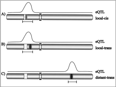 Fig. (1)