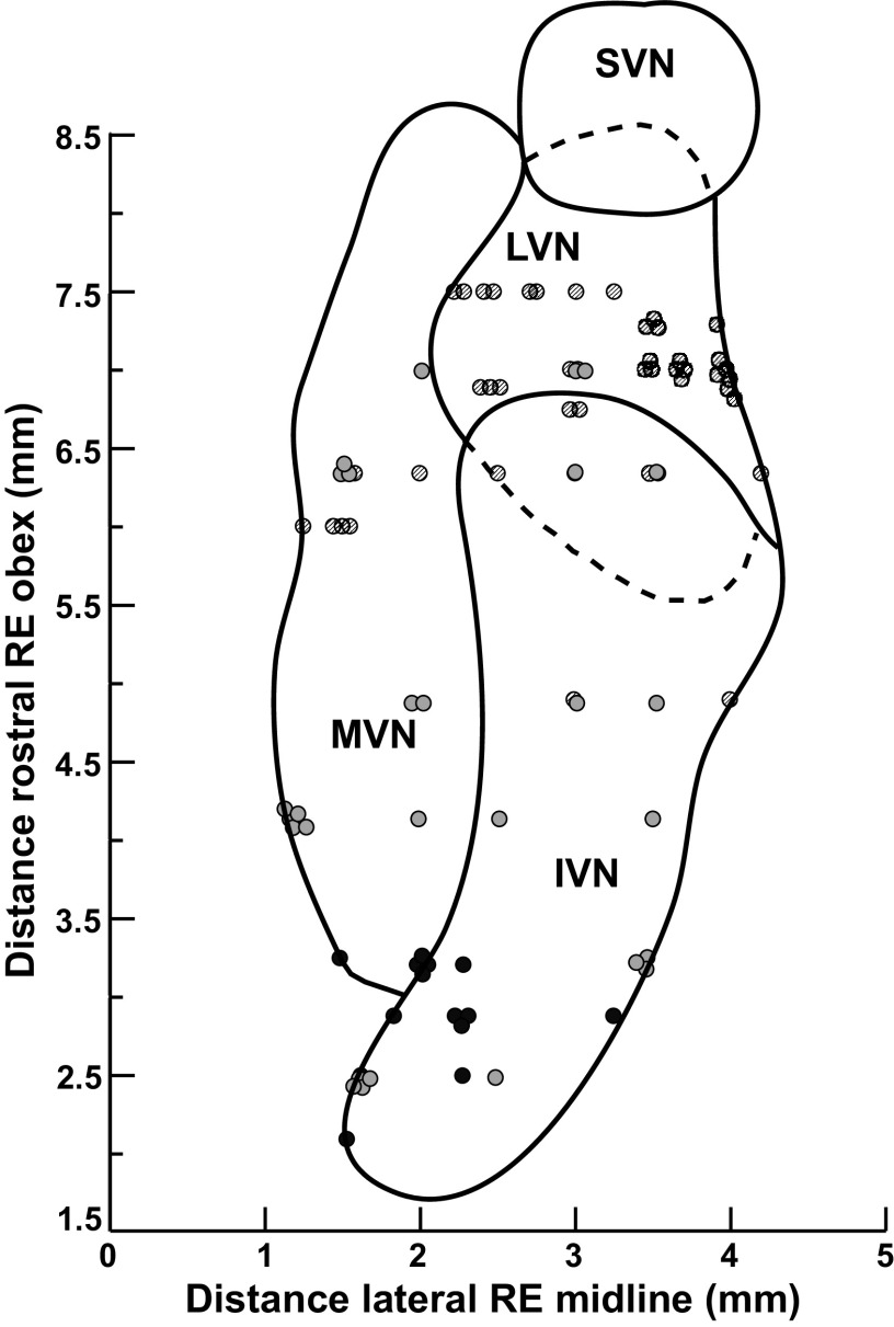 Figure 11.