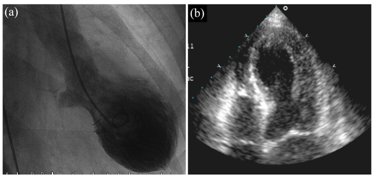 Figure 2.
