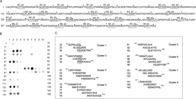 FIGURE 2.