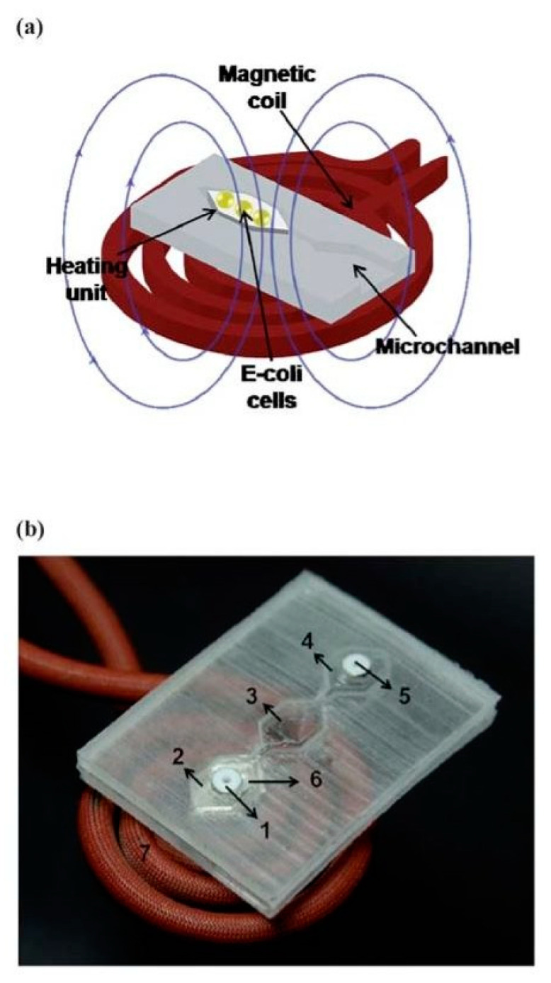 Figure 26