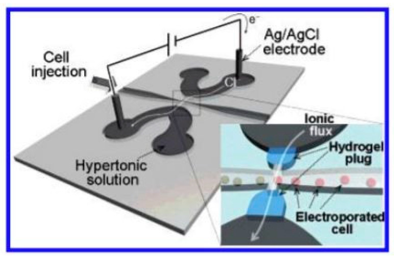 Figure 16