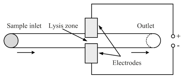 Figure 15