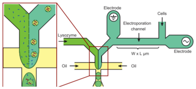 Figure 22