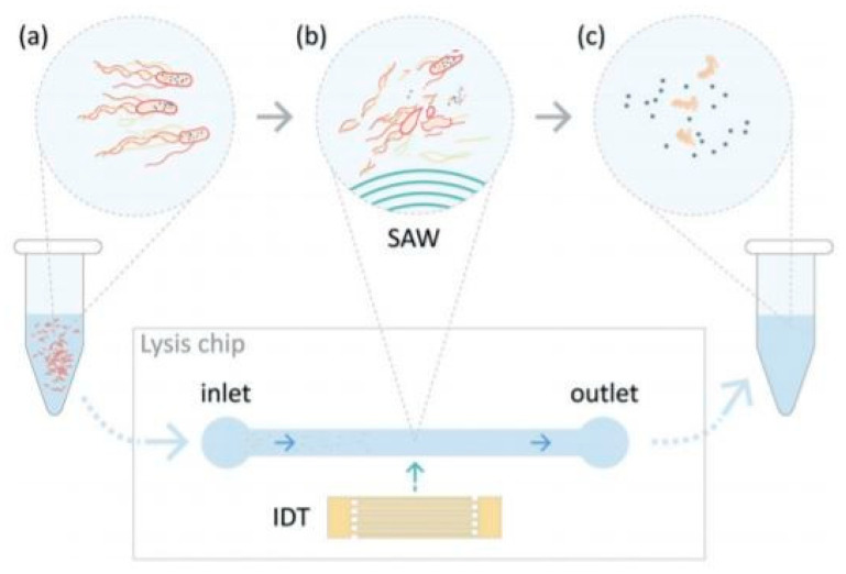 Figure 27