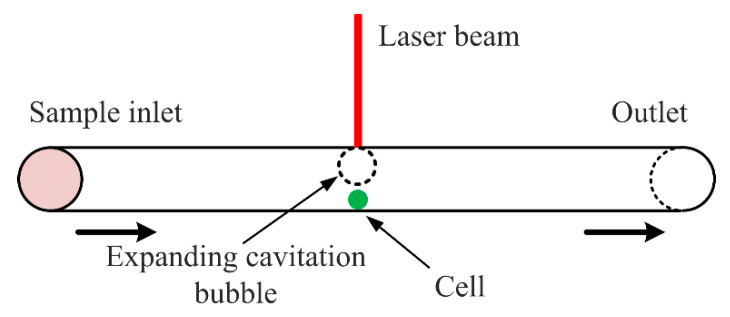 Figure 23