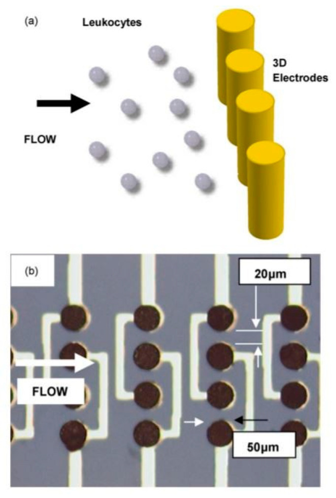 Figure 20