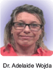 graphic file with name JOCR-13-94-g005.gif