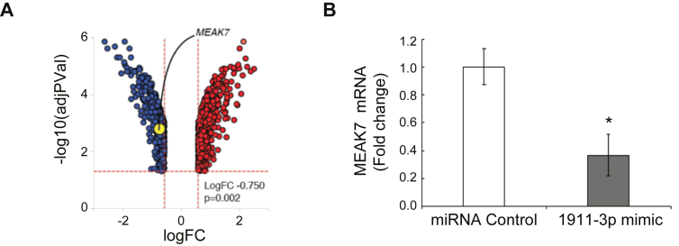 Figure 2