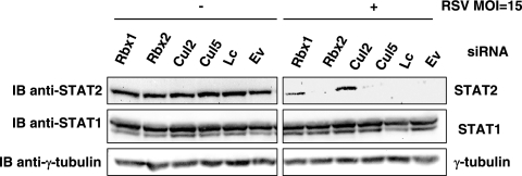 FIG. 5.